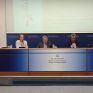 Πρώτη συνεδρίαση της Επιτροπής για την αναμόρφωση του θεσμικού πλαισίου αδειοδότησης των ΑΠΕ - Παρουσιάστηκε η πρόταση της ΡΑΕ
