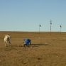 Κίνα: Πράσινο για την κατασκευή αιολικού συγκροτήματος στη Μογγολία