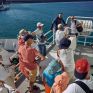 Το πλοίο της Greenpeace, Arctic Sunrise, ολοκλήρωσε την επίσκεψή του στο Ηράκλειο