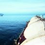 Κι όμως! Στο ρωσικό LNG επιστρέφει και πάλι η Γερμανία για πρώτη φορά μετά τον πόλεμο στην Ουκρανία - Ο ρόλος της Gazprom και το υδρογόνο