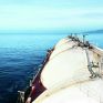 Κίνα – ΗΠΑ: Στο τραπέζι LNG 6 δισ. δολαρίων – Το ενεργειακό deal που μπορεί να φέρει πιο κοντά Σι και Τραμπ
