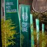 COP28: Ασαφείς διατυπώσεις, ενώ χάνεται πολύτιμος χρόνος