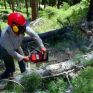 Πρόταση ΚΕΔΕ για αντιμετώπιση της λαθροϋλοτομίας