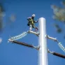 Εξώδικο από την Ενεργειακή Κοινότητα «Φοίνιξ» για καθυστερήσεις σύνδεσης στο δίκτυο