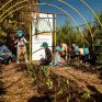 ΔΕΗ και Open Farm προωθούν τη βιώσιμη γεωργία στους μαθητές μέσω του “Carbon Farming Schools”