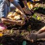 ΔΕΗ: Carbon Farming Schools 2025: ΔΕΗ και Open Farm προωθούν τη βιώσιμη γεωργία στους μαθητές