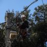 Πρόεδρος τεχνικών ΔΕΗ: Αποκαταστήσαμε το 90% των προβλημάτων στην ηλεκτροδότηση - 70 υποσταθμοί ακόμη χωρίς τάση