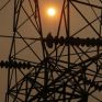 ΔΕΔΔΗΕ: 386,3 εκ. ευρώ σε επενδύσεις για αναβάθμιση του δικτύου και υπογειοποίηση των καλωδίων, για ταχύτερη διείσδυση των ΑΠΕ