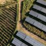 Akuo Energy: Εγκαινιάζεται στις 17/2 νέο φωτοβολταϊκό πάρκο στη Θεσσαλία - Συνεργασία με τοπικούς φορείς για πλωτά φωτοβολταϊκά