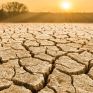 METEO: Αυξάνονται οι θερμοκρασίες εδάφους λόγω απώλειας δασικής βλάστησης