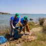 Enel Green Power Hellas: Δράση εθελοντικού καθαρισμού στον υδροβιότοπο της Βραυρώνας
