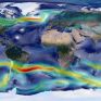 Αν δεν μειωθούν οι εκπομπές CO2 θα χαθεί το 17% των θαλάσσιων ζώων μέχρι το 2100