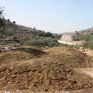 Συνάντηση στην Κρήτη για την ενεργειακή αξιοποίηση του ελαιοπυρήνα
