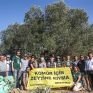 Όχι από τουρκικό δικαστήριο στη χρήση ελαιώνων για ενεργειακά έργα