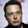 Tesla: Το εργοστάσιο του Βερολίνου κινδυνεύει με καθυστέρηση λόγω δικαστικής διαμάχης για την άγρια φύση