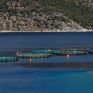 ΕΛΟΠΥ: Δύο νέα ερευνητικά έργα για το περιβάλλον σε συνεργασία με το Πανεπιστήμιο Πατρών 