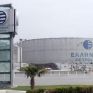 Ξεκίνησε την κάλυψη ΕΛΠΕ και ΜΟΗ η Wood Company