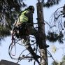 ΔΕΔΔΗΕ: Μέχρι τις 22 Σεπτεμβρίου οι προσφορές για τον mega διαγωνισμό με τις 37 εργολαβίες
