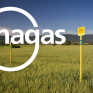 Η Enagas βλέπει τα κέρδη της να αυξάνονται στο α΄ μισό του 2018 ενώ ανοδικά κινείται και η κατανάλωση ΦΑ στη χώρα 