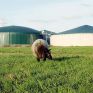 Νέα μονάδα βιοαερίου από την Envitec Biogas στη Νέα Υόρκη