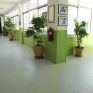 Το Γυμνάσιο Ευηνοχωρίου ευχαριστεί την ΤΕΡΝΑ