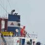 Φορτηγό πλοίο "βρήκε" σε υποθαλάσσιο καλώδιο της ΔΕΗ – Μηνύσεις στην εταιρεία που ανήκει