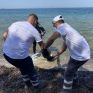  WE SEA MORE II: Με σύμμαχο την τεχνολογία και την καινοτομία στη μάχη για καθαρές θάλασσες