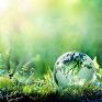 30 χρόνια Δίκτυο Natura 2000 – 30 εκδηλώσεις εορτασμού του μεγαλύτερου δικτύου προστασίας της φύσης στον κόσμο