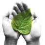 Η ΑΧΙΟΝ Energy στην «BUILDING GREEN 2013»