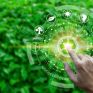 “Thess Clean -Thess Green”: Το 1ο Φεστιβάλ Κυκλικής Οικονομίας του Δήμου Θεσσαλονίκης 