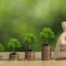 Η Schroders δημιούργησε νέο επενδυτικό χαρτοφυλάκιο - Πράσινα και σχετιζόμενα με τη βιωσιμότητα κρατικά και κυβερνητικά ομόλογα