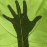 Green Project: Ξεκινάει το «πράσινο» φωτογραφικό ταξίδι