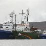 Και οι 30 ακτιβιστές της Greenpeace στη Ρωσία κατηγορούμενοι για πειρατεία