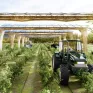 Συνεργασία AgroSolar Europe – FibR για αγροβολταϊκά με ανανεώσιμες πρώτες ύλες – Το 2026 ξεκινά η παραγωγή 