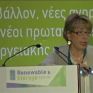 Τσικνάκου: Αναγκαία η ουσιαστική ενημέρωση των τοπικών κοινωνιών – Case study για την αποδοχή των ΑΠΕ από την τοπική κοινωνία το έργο αντλησιοταμίευσης της Αμφιλοχίας