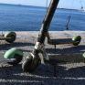 Δεκάδες ηλεκτρικά πατίνια στο βυθό της μαρίνας Ρεθύμνου