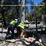 ΔΕΔΔΗΕ: Μέχρι το τέλος της ημέρας θα έχουν επανηλεκτροδοτηθεί το σύνολο των πελατών σε όλες τις πληγείσες περιοχές - Οι οδηγίες ασφαλείας του Διαχειριστή