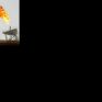 Συμφωνία Ιράν - ΙΑΕΑ για νέα μέτρα διαφάνειας στα πυρηνικά