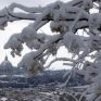 Αυξημένη ζήτηση για φυσικό αέριο στην Ιταλία