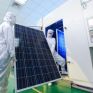JinkoSolar: Οι τιμές των φωτοβολταϊκών module αυξήθηκαν κατά 15% στην Κίνα τον τελευταίο μήνα - Άνοδος προβλέπεται σε βάθος εξαμήνου
