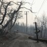 Εθνικό Αστεροσκοπείο Αθηνών: 454.000 στρέμματα έχουν καεί στην Ελλάδα, από την αρχή του έτους
