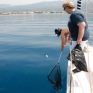 Στην εκστρατεία «Καθαρίστε τη Μεσόγειο 2013» συμμετέχει ο Δήμος Χανίων