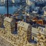 Μια... καρακάξα άφησε χωρίς ρεύμα περιοχές της Καβάλας  