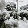 ΚΕΔΕ: Δεν έχουν οι δήμοι την ευθύνη για τα δέντρα κατά μήκος των καλωδίων της ΔΕΗ