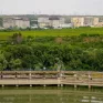 Ρουμανία: Καθολική διακοπή λειτουργίας του πυρηνικού σταθμού της Τσερναβόδα