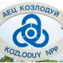 Επαναλειτουργεί η μονάδα 6 στο Κοζλοντούι