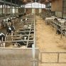 Ευκολότερη η περιβαλλοντική αδειοδότηση κτηνοτροφικών μονάδων