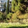 Πράσινο και Ελεύθερος Χώρος το ρέμα Κυβερνείου στη Θεσσαλονίκη με πρωτοβουλία του ΥΠΕΝ