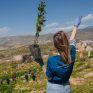 Για κάθε αυτοκίνητο που διαθέτει, η LeasePlan Hellas επιστρέφει στο περιβάλλον με δράσεις δενδροφύτευσης και προστασίας της άγριας ζωής