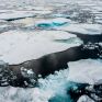 COP27: Αναπόφευκτη η απώλεια του θαλάσσιου πάγου σε 30 χρόνια στην Αρκτική 